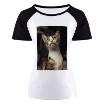 yanfind Women's Sleeve Raglan T Shirt Short Cat Face Cat's Eyes Focus Fur Furry Kitten Nose Pet Whiskers