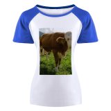 yanfind Women's Sleeve Raglan T Shirt Short Cattle Cow Farm Farmland Fence Field Grass Grassland Graze Meadow Pasture