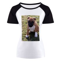 yanfind Women's Sleeve Raglan T Shirt Short Focus Fur Grass Little Outdoors Pet Puppy Young