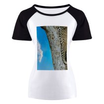 yanfind Women's Sleeve Raglan T Shirt Short Big Cat Daylight Hunter Jungle Leopard Tree Wild Wildlife Wood