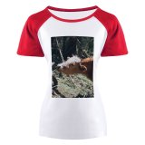yanfind Women's Sleeve Raglan T Shirt Short Cattle Cow Daylight Fur Grass Horns Landscape Mammals Outdoors Trees Woods