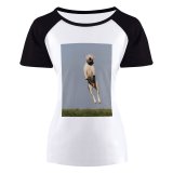 yanfind Women's Sleeve Raglan T Shirt Short Cute Daylight Dog Field Grass Jumpshot Outdoors Pet