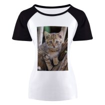 yanfind Women's Sleeve Raglan T Shirt Short Adorable Cat Cute Fur Furry Kitten Little Pet Portrait Tree Young