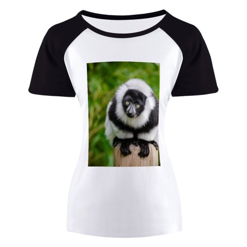 yanfind Women's Sleeve Raglan T Shirt Short Furry Glare Lemur Primate Ruffed Tree Trunk Wild Wildlife Wood