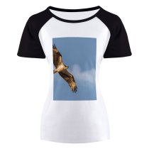 yanfind Women's Sleeve Raglan T Shirt Short Bald Eagle Bird Falconry Flight Freedom Hawk Outdoors Prey