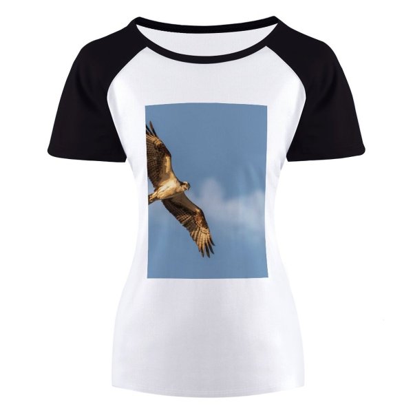 yanfind Women's Sleeve Raglan T Shirt Short Bald Eagle Bird Falconry Flight Freedom Hawk Outdoors Prey