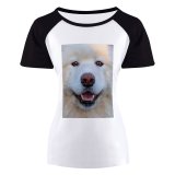 yanfind Women's Sleeve Raglan T Shirt Short Adorable Canidae Cute Dog Eyes Fur Furry Pet Samoyed Snout