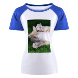 yanfind Women's Sleeve Raglan T Shirt Short Adorable Cat Cute Downy Eyes Fur Kitten Little Paw Pet Whiskers