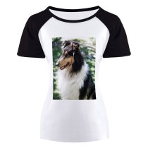 yanfind Women's Sleeve Raglan T Shirt Short Border Collie Cute Dog Pet Puppy
