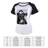 yanfind Women's Sleeve Raglan T Shirt Short Agriculture Farming Beef Cattle Sky Bull Cow Cute Dairy Field