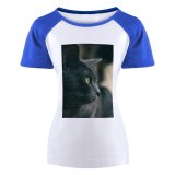 yanfind Women's Sleeve Raglan T Shirt Short Adorable Cat Chartreux Cute Kitten Kitty Little Pet Whiskers