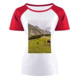yanfind Women's Sleeve Raglan T Shirt Short Countryside Cow Gilgit Grass Grassland Landscape Outdoors Pakistan Rural