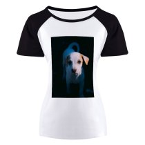 yanfind Women's Sleeve Raglan T Shirt Short Adorable Pit Bull Cute Dog Doggy Fur Little Outdoors Pedigree Pet Puppy