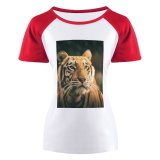 yanfind Women's Sleeve Raglan T Shirt Short Big Cat Carnivore Eyes Felidae Fur Gaze Hunter Jungle Outdoors Portrait