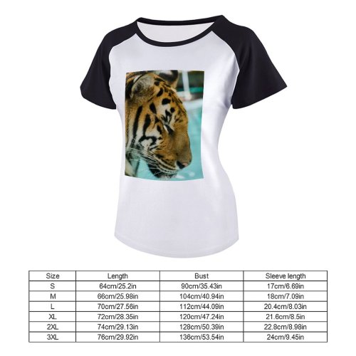 yanfind Women's Sleeve Raglan T Shirt Short Big Cat Carnivore Pool Wild Wildlife