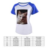 yanfind Women's Sleeve Raglan T Shirt Short Adorable Calico Cat Cute Eyes Felidae Fur Kitty Pet Staring Whiskers