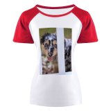 yanfind Women's Sleeve Raglan T Shirt Short Cute Dog Fur Little Pet Portrait Puppy Young