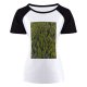 yanfind Women's Sleeve Raglan T Shirt Short Conifer Countryside Daylight Evergreen Forest Trees Growth High Shot Landscape Outdoor