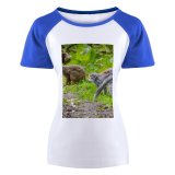 yanfind Women's Sleeve Raglan T Shirt Short Cute Fur Furry Grass Leaves Lemur Outdoors Primates Tail Wild Wildlife