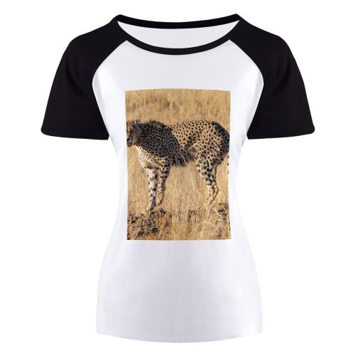 yanfind Women's Sleeve Raglan T Shirt Short Big Cat Cheetah Dangerous Daylight Grass Grassland Safari Savanna Africa Wild