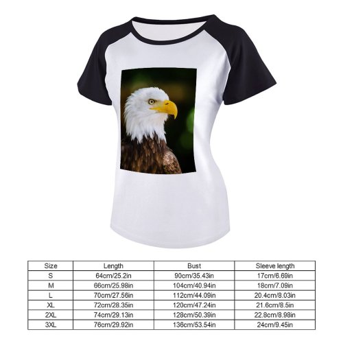 yanfind Women's Sleeve Raglan T Shirt Short Bald Eagle Bird Feathers Plumage Wildlife