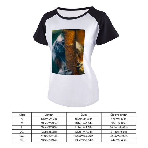 yanfind Women's Sleeve Raglan T Shirt Short Cotton Top Tamarin Cute Daylight Fur Little Monkey Outdoors Primate Wild Wildlife