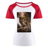yanfind Women's Sleeve Raglan T Shirt Short Adorable Cat Cute Downy Fur Furry Kitten Kitty Little Nose Pet