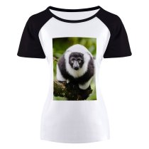 yanfind Women's Sleeve Raglan T Shirt Short Endangered Eyes Focus Fur Furry Lemur Outdoors Primate Tree Branch Wild