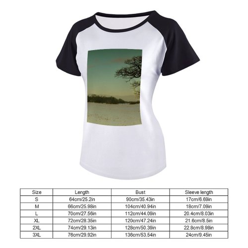yanfind Women's Sleeve Raglan T Shirt Short Covered Field Freezing Frost Frosty Frozen Landscape Outdoors Sky Snow