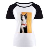 yanfind Women's Sleeve Raglan T Shirt Short Cat Furry Pet Tabby