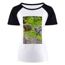 yanfind Women's Sleeve Raglan T Shirt Short Cute Fur Furry Grass Leaves Lemur Outdoors Primates Tail Wild Wildlife