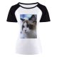 yanfind Women's Sleeve Raglan T Shirt Short Adorable Cat Cute Downy Eyes Fur Kitten Kitty Little Pet Whiskers