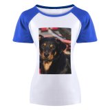 yanfind Women's Sleeve Raglan T Shirt Short Adorable Dog Cute Friendship Fur Little Outdoors Pedigree Pet Puppy Sit