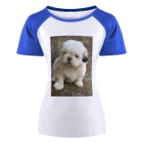 yanfind Women's Sleeve Raglan T Shirt Short Adorable Cute Domesticated Fur Little Outdoors Pet Puppy Shih Tzu Young