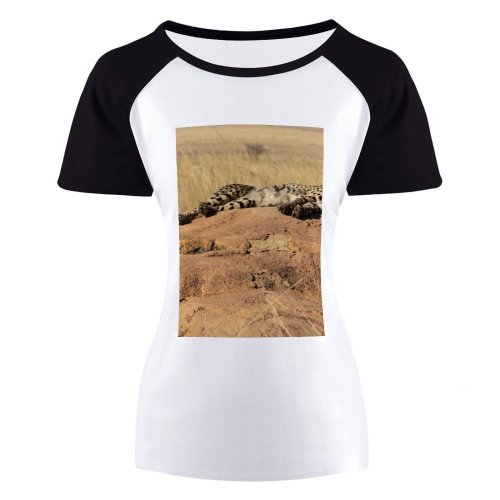 yanfind Women's Sleeve Raglan T Shirt Short Big Cat Cheetah Safari Africa Wild Wildlife
