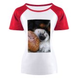 yanfind Women's Sleeve Raglan T Shirt Short Cute Daytime Dog Eyes Fur Hungry Little Outdoors Pavement Pet Puppy Sesame