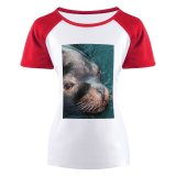 yanfind Women's Sleeve Raglan T Shirt Short Cute Ocean Sea Seal Wildlife