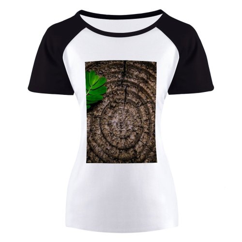 yanfind Women's Sleeve Raglan T Shirt Short Art Design Flora Hardwood Leaf Lumber Photographic Rough Rustic Stump Texture Timber