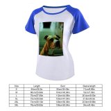yanfind Women's Sleeve Raglan T Shirt Short Dog Pet Pitbull