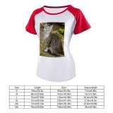 yanfind Women's Sleeve Raglan T Shirt Short Cats Cute Fur Grey Kitten Kitty Leaves Little Outdoors Pet Road Sit