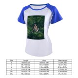 yanfind Women's Sleeve Raglan T Shirt Short Beautiful Branch Fur Jungle Monkey Outdoors Rainforest Tree Tropical Wild Wildlife
