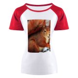 yanfind Women's Sleeve Raglan T Shirt Short Cute Daylight Fox Squirrel Fur Little Outdoors Portrait Rodent Snow Tail Whiskers