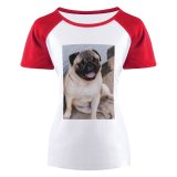yanfind Women's Sleeve Raglan T Shirt Short Adorable Portrait Canidae Cute Dog Face Human's Friend Little Camera_