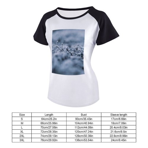 yanfind Women's Sleeve Raglan T Shirt Short Crystal Frost Frosty Frozen Grayscale Icee Landscape Outdoors Plants Season