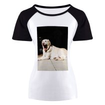 yanfind Women's Sleeve Raglan T Shirt Short Adorable Cute Dog Pet Yawn