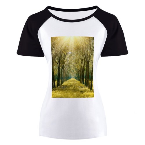 yanfind Women's Sleeve Raglan T Shirt Short Branches Countryside Fall Fog Forest Grass Idyllic Landscape Mist Park Plants Rural