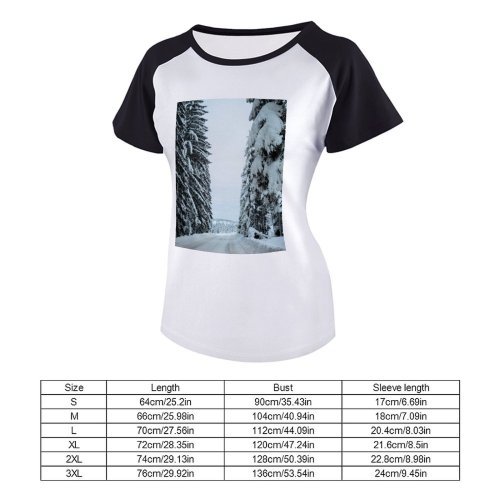 yanfind Women's Sleeve Raglan T Shirt Short Branches Countryside Daylight Forest Freezing Frost Frosty Frozen Landscape Outdoors