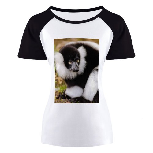 yanfind Women's Sleeve Raglan T Shirt Short Endangered Eyes Fur Furry Glare Ground Lemur Plants Primate Ruffed Sit
