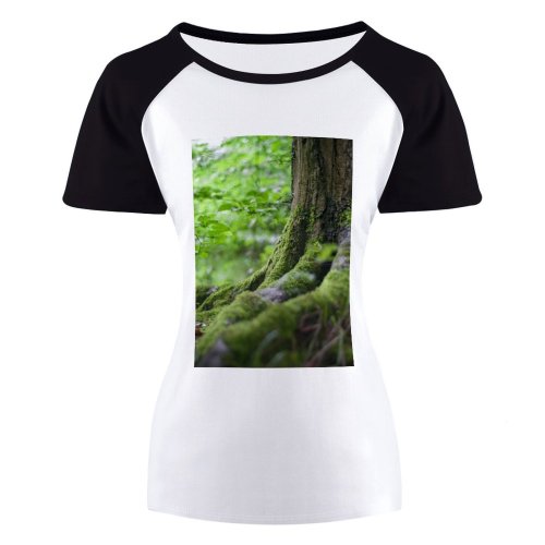 yanfind Women's Sleeve Raglan T Shirt Short Forest Grass Leaves Outdoors Plants Tree Bark Trunk Trees Woods
