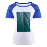 yanfind Women's Sleeve Raglan T Shirt Short Abstract Asymmetry Biology Leaf Macro Texture Vein